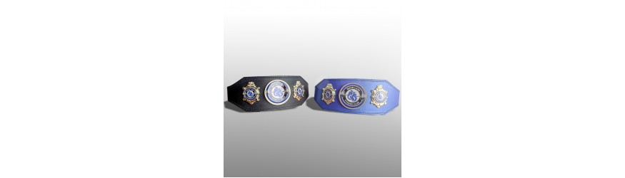 CUSTOM CHAMPIONSHIP BELT BUD003/G/CUSTOM - AVAILABLE IN 4 COLOURS CUSTOM CHAMPIONSHIP BELT BUD003/G/CUSTOM - AVAILABLE IN 4 COLOURS